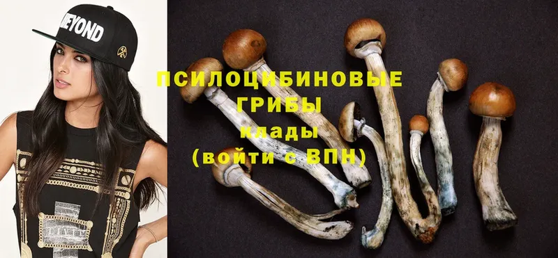 блэк спрут как войти  Нижняя Тура  Псилоцибиновые грибы Magic Shrooms 